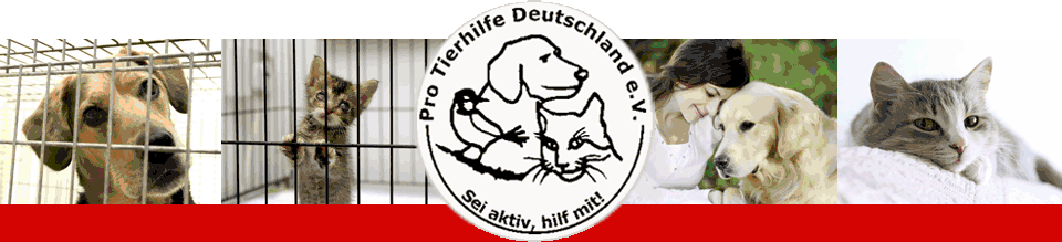 Pro Tierhilfe Deutschland e.V.